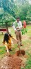 Tree Plantation event