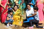 Tree Plantation Ahmedabad 2018