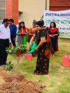 OWA Chandigarh Tree Plantation