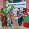 OWA Chandigarh Tree Plantation