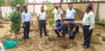 OWA Allahabad Tree Plantation
