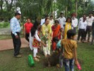 Tree Plantation Dehradun 2019