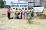 OWA Lucknow Tree Plantation
