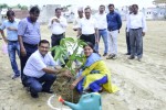 OWA Lucknow Tree Plantation