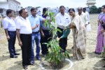 OWA Lucknow Tree Plantation