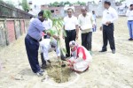 OWA Lucknow Tree Plantation