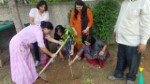 Tree Plantation 2019