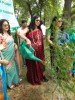 Tree Plantation Ghaziabad 2019