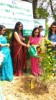 Tree Plantation Ghaziabad 2019