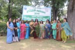 Tree Plantation Ghaziabad 2019
