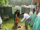 Tree Plantation Dehradun 2019