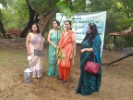 Tree Plantation 4